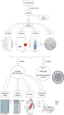 Exploration of shared TF-miRNA‒mRNA and mRNA-RBP-pseudogene networks in type 2 diabetes mellitus and breast cancer